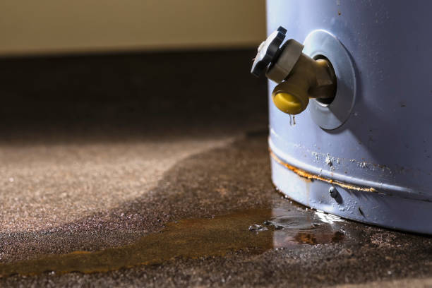 Best Mold removal after water damage  in Winter Haven, FL