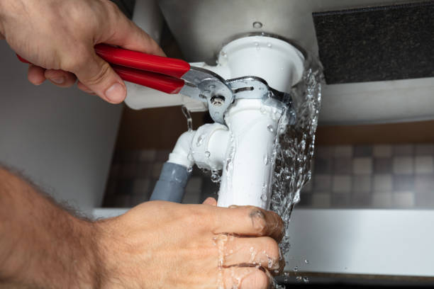 Best Mold removal after water damage  in Winter Haven, FL