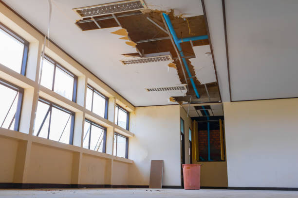 Best Ceiling water damage repair  in Winter Haven, FL
