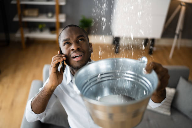 Best Flood damage cleanup  in Winter Haven, FL