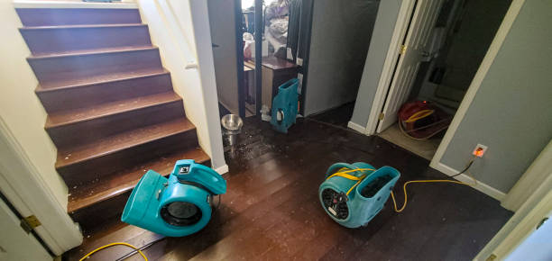 Best Water damage restoration near me  in Winter Haven, FL