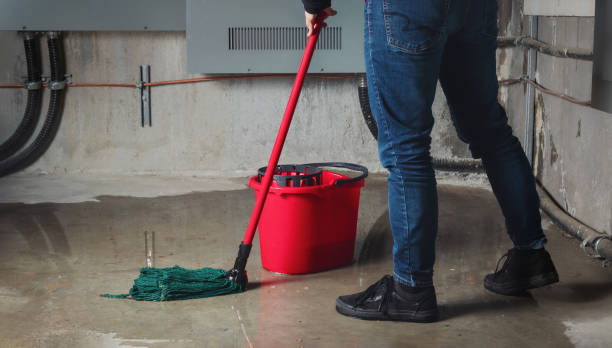 Best Water damage restoration near me  in Winter Haven, FL