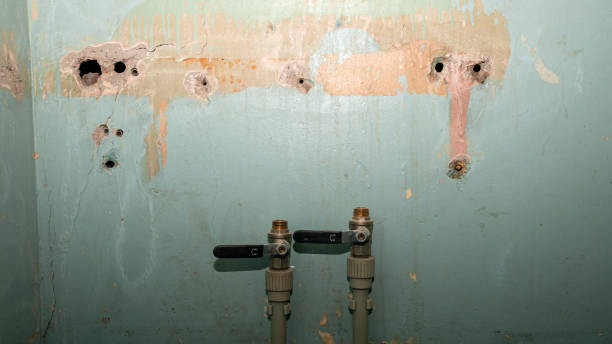 Best Water damage restoration process  in Winter Haven, FL