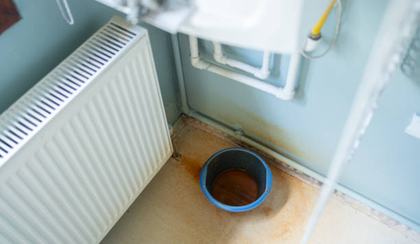 Best Water damage restoration mold remediation  in Winter Haven, FL