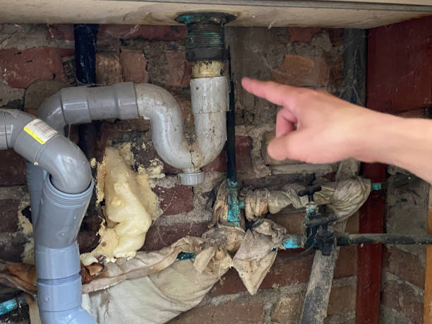 Best Water damage restoration experts  in Winter Haven, FL