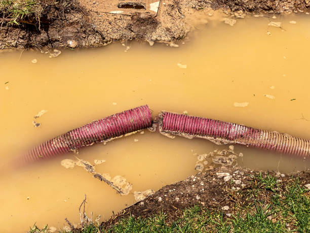 Best Residential water damage restoration  in Winter Haven, FL