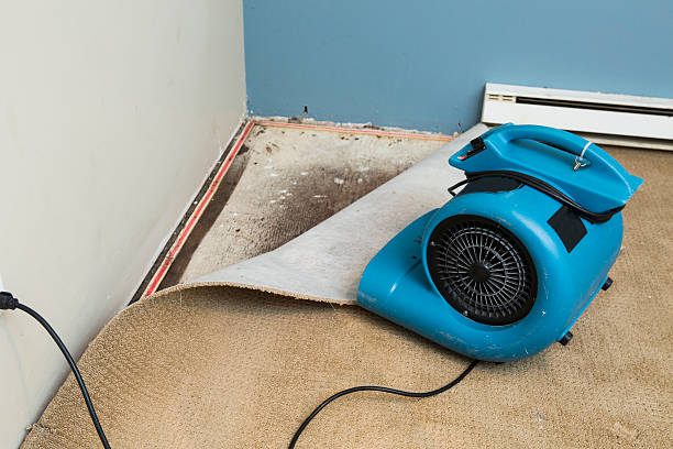 Trusted Winter Haven, FL Water damage restoration Experts